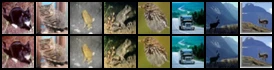 Sample grid from the baseline noise-to-image coupling